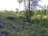 p8311282a.jpg