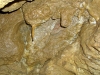 ZUB - drobné stalaktity před Severní propastí